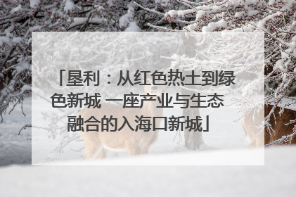 垦利：从红色热土到绿色新城 一座产业与生态融合的入海口新城