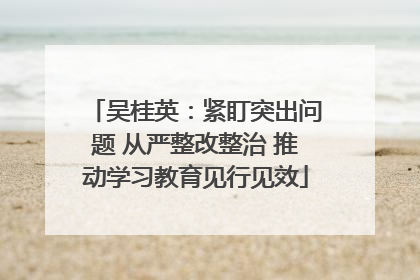 吴桂英：紧盯突出问题 从严整改整治 推动学习教育见行见效
