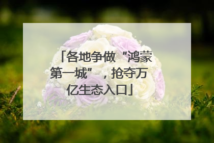 各地争做“鸿蒙第一城”，抢夺万亿生态入口