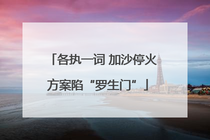 各执一词 加沙停火方案陷“罗生门”