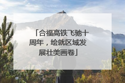 合福高铁飞驰十周年，绘就区域发展壮美画卷