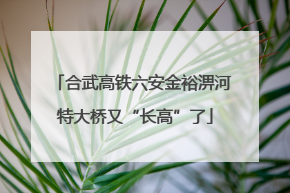 合武高铁六安金裕淠河特大桥又“长高”了