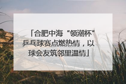 合肥中海“领潮杯”乒乓球赛点燃热情,以球会友筑邻里温情
