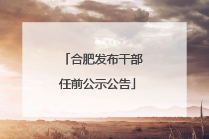 合肥发布干部任前公示公告