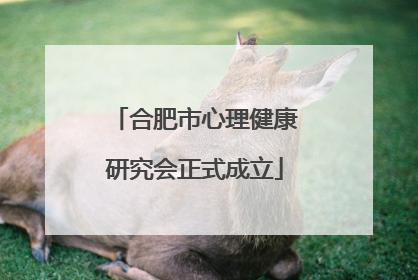 合肥市心理健康研究会正式成立