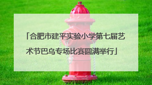 合肥市建平实验小学第七届艺术节巴乌专场比赛圆满举行