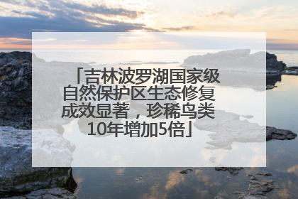 吉林波罗湖国家级自然保护区生态修复成效显著，珍稀鸟类10年增加5倍
