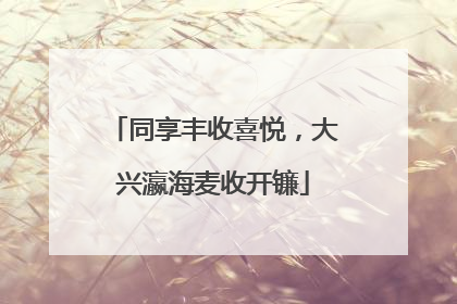同享丰收喜悦，大兴瀛海麦收开镰