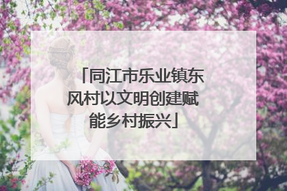 同江市乐业镇东风村以文明创建赋能乡村振兴
