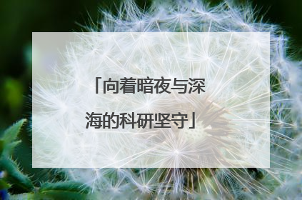 向着暗夜与深海的科研坚守