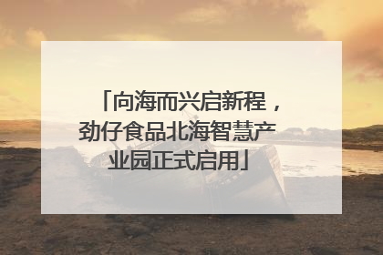 向海而兴启新程，劲仔食品北海智慧产业园正式启用