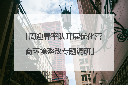 周迎春率队开展优化营商环境整改专题调研