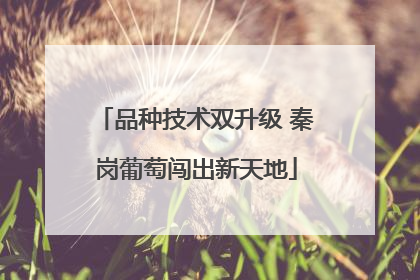 品种技术双升级 秦岗葡萄闯出新天地
