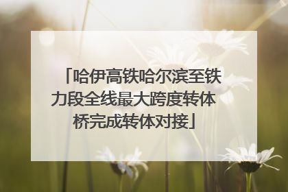 哈伊高铁哈尔滨至铁力段全线最大跨度转体桥完成转体对接