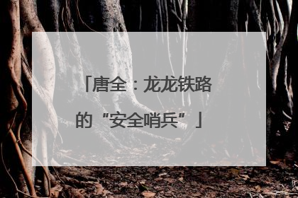 唐全：龙龙铁路的“安全哨兵”