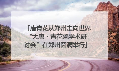 唐青花从郑州走向世界 “大唐・青花瓷学术研讨会”在郑州圆满举行