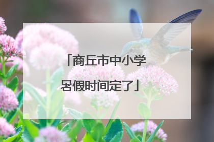 商丘市中小学暑假时间定了