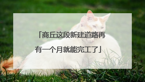 商丘这段新建道路再有一个月就能完工了