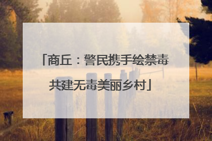 商丘：警民携手绘禁毒 共建无毒美丽乡村