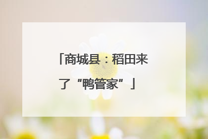 商城县：稻田来了“鸭管家”