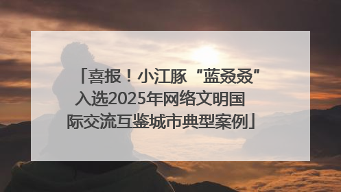 喜报！小江豚“蓝叒叒”入选2025年网络文明国际交流互鉴城市典型案例
