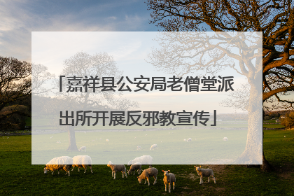 嘉祥县公安局老僧堂派出所开展反邪教宣传