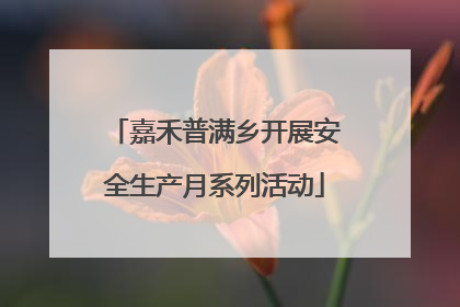 嘉禾普满乡开展安全生产月系列活动