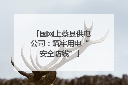国网上蔡县供电公司：筑牢用电“安全防线”