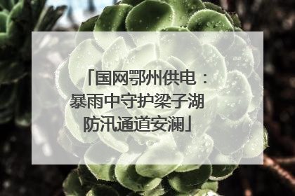 国网鄂州供电：暴雨中守护梁子湖防汛通道安澜