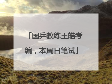 国乒教练王皓考编，本周日笔试
