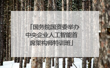 国务院国资委举办中央企业人工智能首席架构师特训班