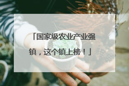 国家级农业产业强镇，这个镇上榜！