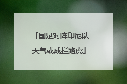 国足对阵印尼队 天气或成拦路虎