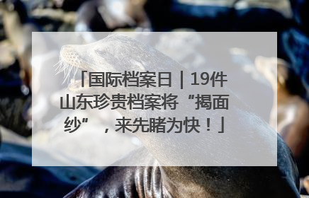 国际档案日｜19件山东珍贵档案将“揭面纱”，来先睹为快！