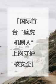 国际首台“壁虎机器人”上岗守护核安全