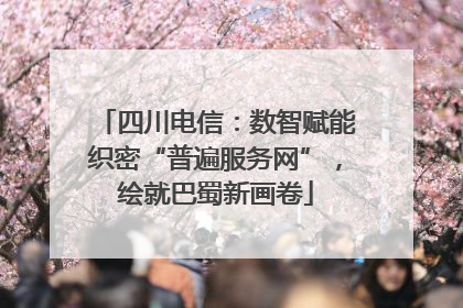 四川电信：数智赋能织密“普遍服务网”，绘就巴蜀新画卷