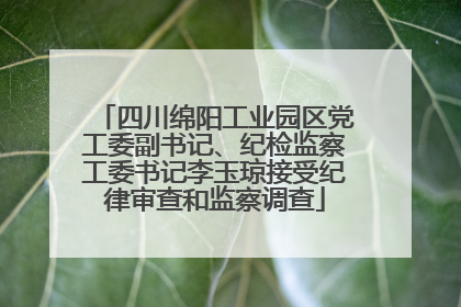 四川绵阳工业园区党工委副书记、纪检监察工委书记李玉琼接受纪律审查和监察调查