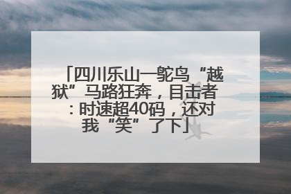 四川乐山一鸵鸟“越狱”马路狂奔，目击者：时速超40码，还对我“笑”了下
