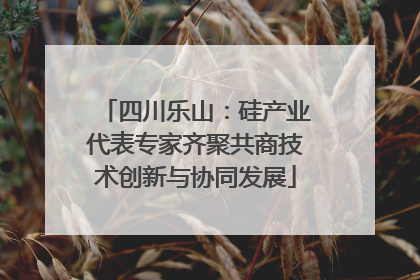 四川乐山：硅产业代表专家齐聚共商技术创新与协同发展