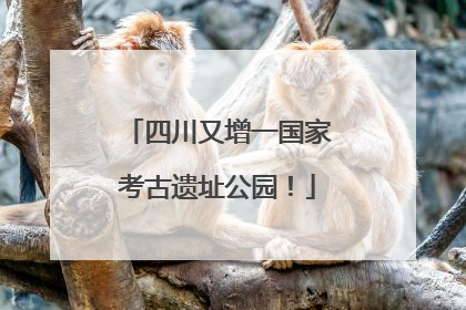 四川又增一国家考古遗址公园！