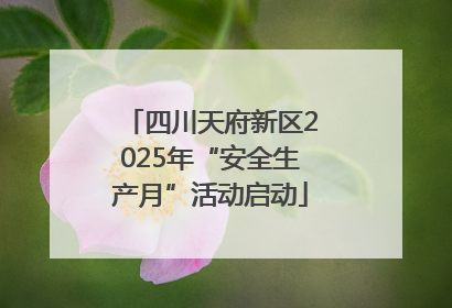 四川天府新区2025年“安全生产月”活动启动