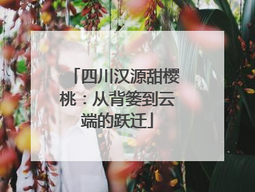 四川汉源甜樱桃：从背篓到云端的跃迁