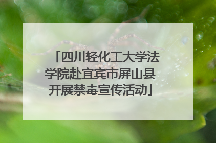 四川轻化工大学法学院赴宜宾市屏山县开展禁毒宣传活动