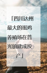 四川达州最大的蛋鸡养殖场在普光镇建成投产