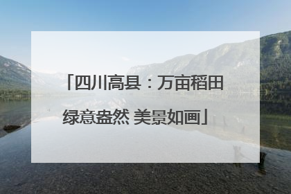 四川高县：万亩稻田绿意盎然 美景如画