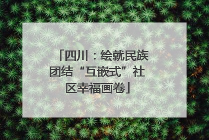四川：绘就民族团结“互嵌式”社区幸福画卷