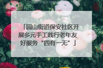 园山街道保安社区开展多元手工践行老年友好服务“四有一无”