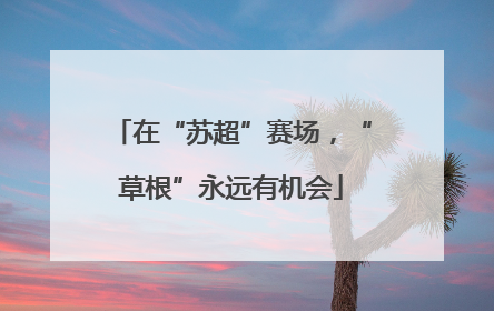 在“苏超”赛场，“草根”永远有机会