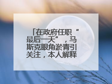 在政府任职“最后一天”，马斯克眼角淤青引关注，本人解释：儿子干的