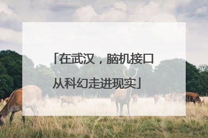 在武汉，脑机接口从科幻走进现实
